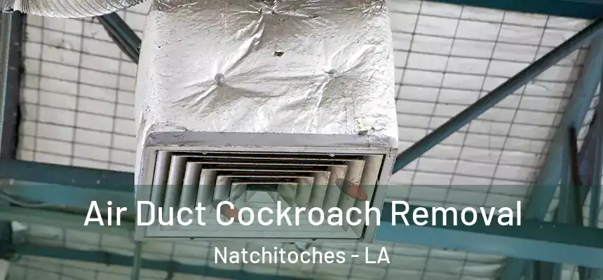  Air Duct Cockroach Removal Natchitoches - LA