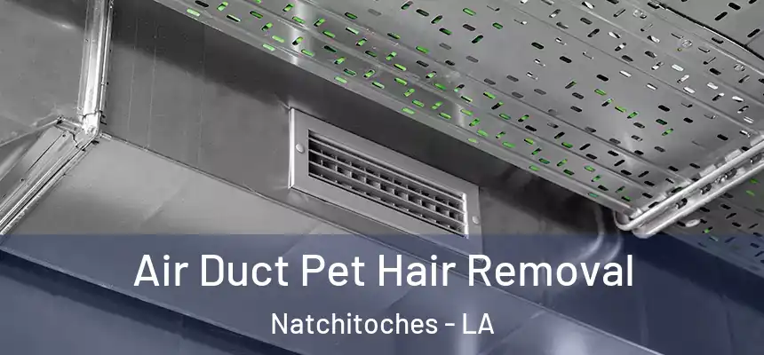  Air Duct Pet Hair Removal Natchitoches - LA