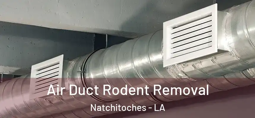 Air Duct Rodent Removal Natchitoches - LA