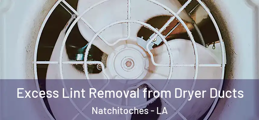  Excess Lint Removal from Dryer Ducts Natchitoches - LA