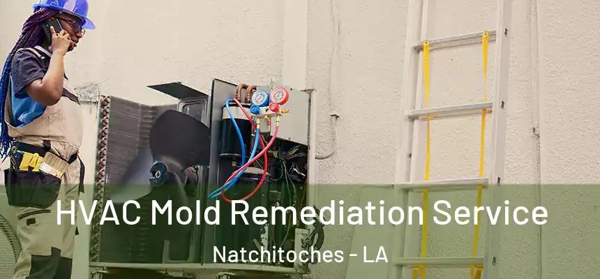  HVAC Mold Remediation Service Natchitoches - LA