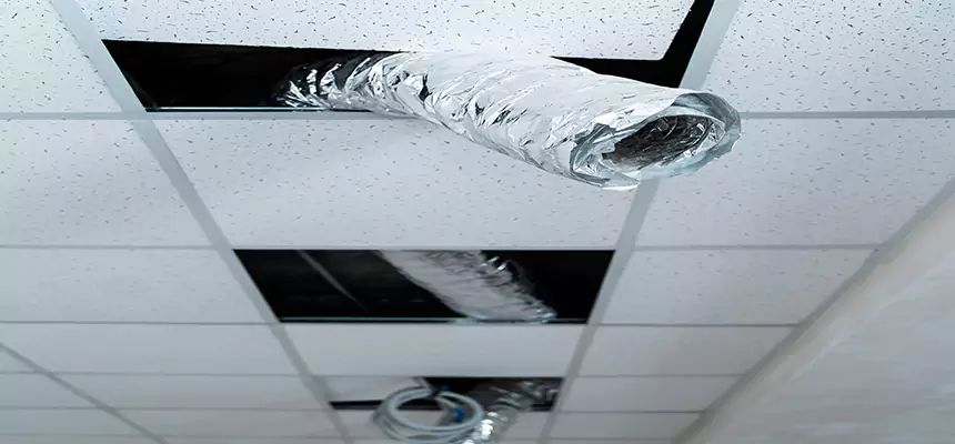 Affordable HVAC Sanitizing After Pest Removal in Natchitoches