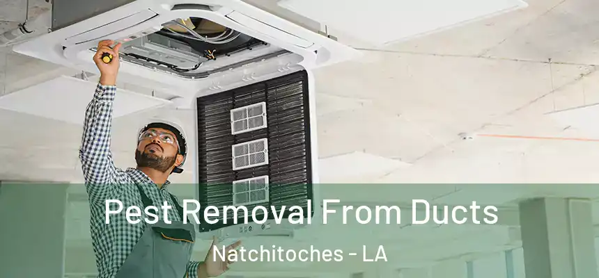  Pest Removal From Ducts Natchitoches - LA