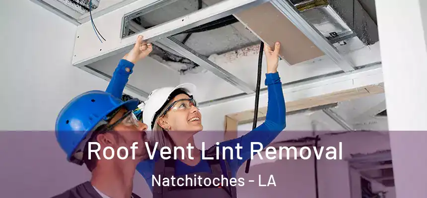  Roof Vent Lint Removal Natchitoches - LA
