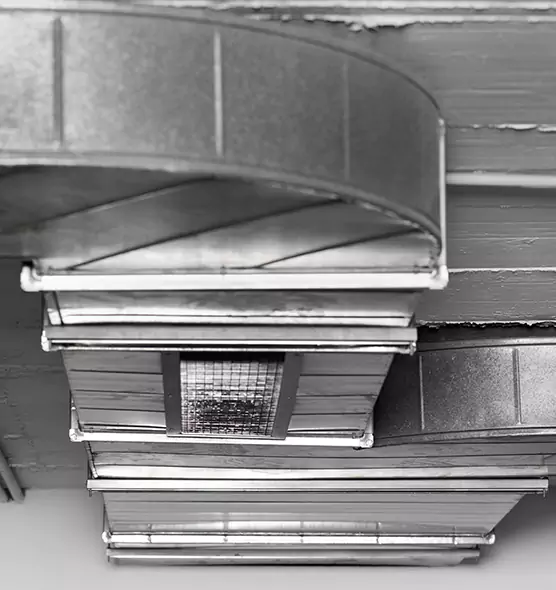 Professional Air Duct Pest Removal in Natchitoches, LA