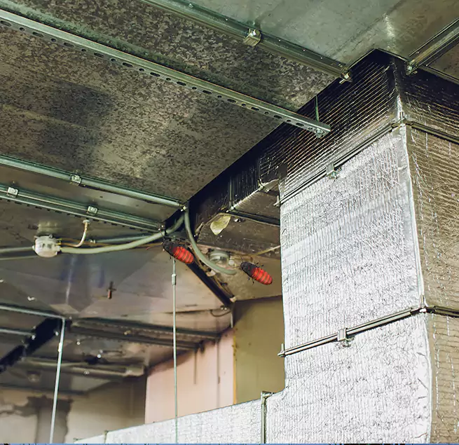 Why Homeowners & Businesses Trust Us in Natchitoches, LA?